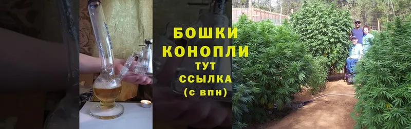 ОМГ ОМГ вход  Шуя  Бошки марихуана White Widow 